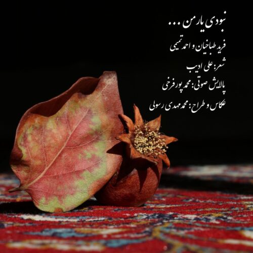 دانلود آهنگ فرید طباخیان و احمد تمیمی نبودی یار من